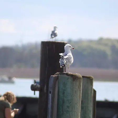 Uhlenstraat Διαμέρισμα *