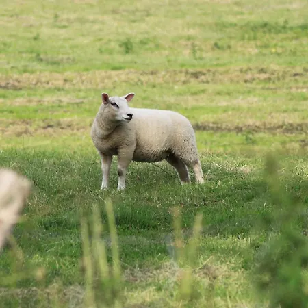 Διαμέρισμα Uhlenstraat Esgrus