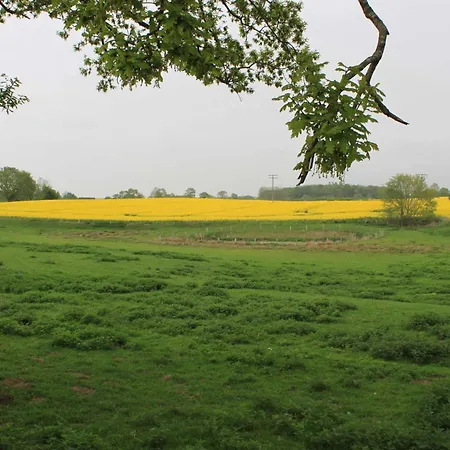 Διαμέρισμα Uhlenstraat Esgrus